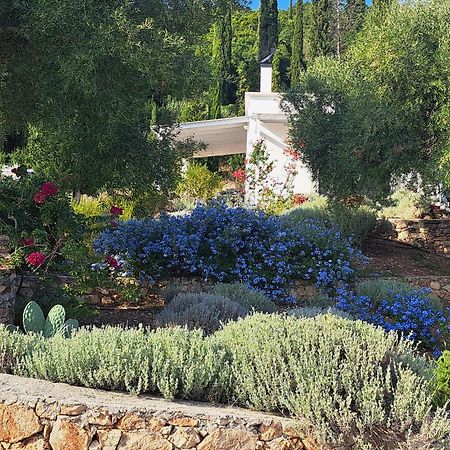 Villa Buras Szkinária Kültér fotó