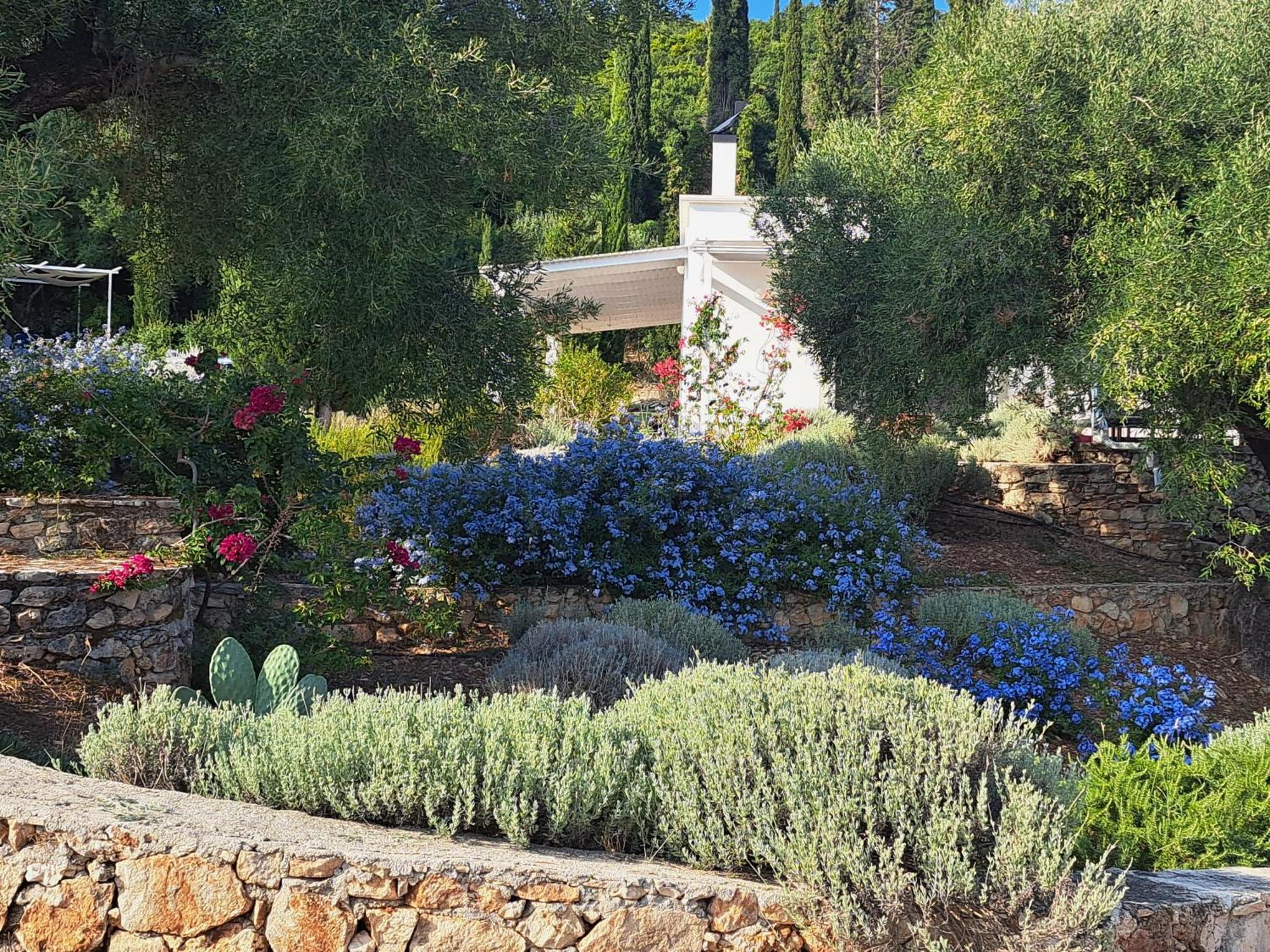 Villa Buras Szkinária Kültér fotó