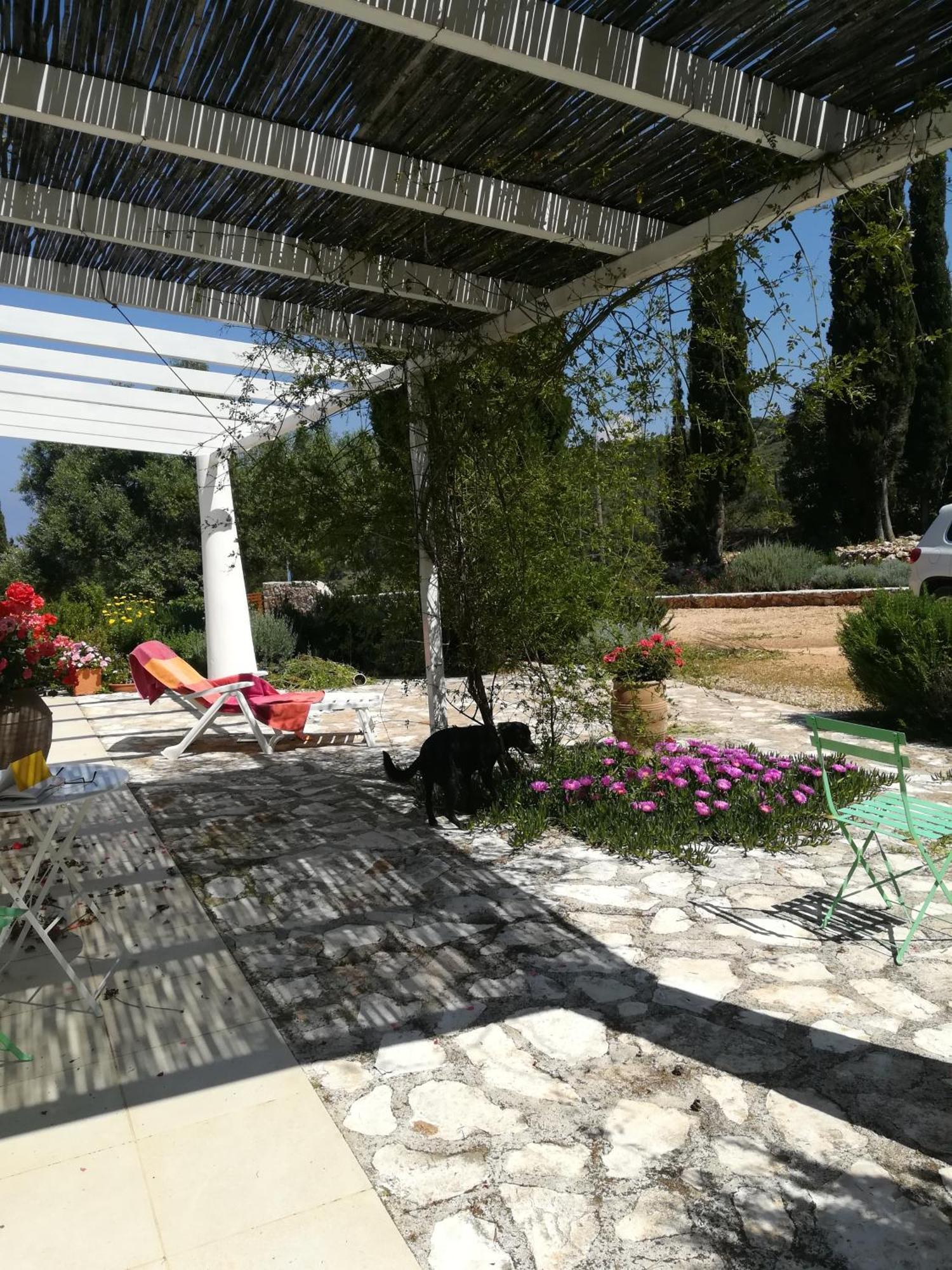 Villa Buras Szkinária Kültér fotó